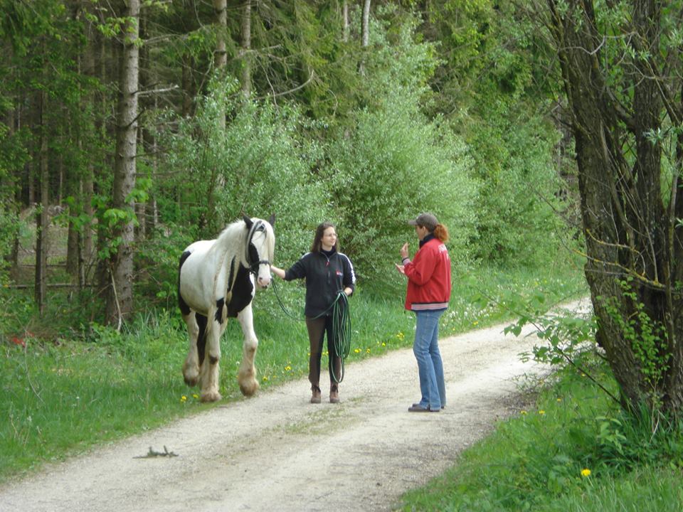 Reiten lernen soll Spaß machen